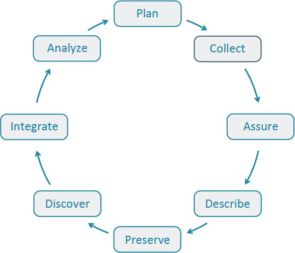 Data Life Cycle graphic with each stage following the next to create a circle.